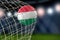 Hungarian soccerball in net