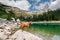 Hungarian Vizsla Dog Standing by Mountain Lake