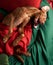 A Hungarian Vizsla reclines in a cozy nest of red and green blankets, eyes full of gentle warmth