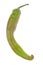 Hungarian Wax Banana Pepper