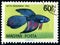 HUNGARY - CIRCA 1962: stamp 60 Hungarian filler printed by Hungary, shows fish Siamese Fighting Fish Betta splendens, Tropical