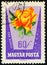 HUNGARY - CIRCA 1962: stamp 60 Hungarian heller printed by Hungary, shows flowering plant Rosa (Rose) hybrid, flora