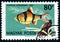 HUNGARY - CIRCA 1962: stamp 80 Hungarian filler printed by Hungary, shows fish Tiger Barb Puntius tetrazona, Tropical Fish serie