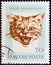 HUNGARY - CIRCA 1966: A stamp printed in Hungary from the `Hunting Trophies` issue shows a wildcat Felis silvestris, circa 1966.