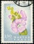 HUNGARY - CIRCA 1967: stamp shows flowering plant Hollyhocks (Alcea, Althaea pallida)