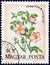 HUNGARY - CIRCA 1973: A stamp printed in Hungary from the `Wild Flowers` issue, shows a French Rose, circa 1973.