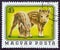 HUNGARY - CIRCA 1976: A stamp printed in Hungary from the `Young animals` issue shows two young wild boars, circa 1976.