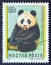 HUNGARY - CIRCA 1977: A stamp printed in Hungary from the `Bears` issue shows a Giant Panda, circa 1977.