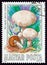 HUNGARY - CIRCA 1984: A stamp printed in Hungary from the `Mushrooms` issue shows Agaricus campestris, circa 1984.