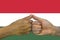 Hungary flag, intergration of a multicultural group of young people