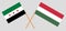 Hungary and Syria opposition. The Hungarian and Syrian National Coalition flags. Official proportion. Correct colors. Vector