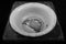 Hunger, a piece of meat in a bowl, crisis, stress, unemployment abstract picture