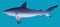 Hungry aggressive and scary shark fish on blue background