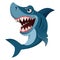 Hungry angry cartoon great white shark wiith big teeth . Vector illustration