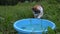 Hungry cute cat catch and eat fish from plastic bowl. Woman fish