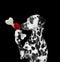 Hungry dalmatian dog looking at bone with surprise. Isolated on black