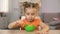 Hungry female kid eating cornflakes with milk and showing thumbs up, breakfast