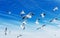 Hungry gulls circling over the winter beach in search of food on