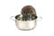Hungry hedgehog looking into cooking pot