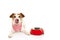 Hungry jack russell dog with a empty bowl food sticking out its tongue, isolated on white background