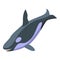 Hungry killer whale icon, isometric style