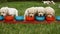 Hungry labrador puppies running to the feeding bowls