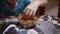 Hungry Teen Steals Potato Chips from Table in a Plate While No One Sees