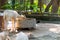 A hungry white fallow Deer Dama dama eating food at stone feed trough,  native to Europe and Asia, a type of deer from the