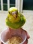 A Hungry Yellow and Green Parakeet