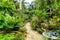 HunteÂ´s Botanical Garden on the Caribbean island of Barbados. It is a paradise destination with a white sand beach and turquoiuse