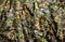 Hunted forest camouflage texture closeup