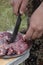 Hunter is cutting a meat of just killed marmot.