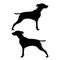 Hunter dog or gundog icon black color illustration flat style simple image