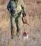 Hunter with a dog on a leash carries a downed bird Epagneul Breton, spaniel breton, Brittany Spaniel, Bretonischer Spaniel