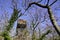 Hunter forest pigeon hunting palombiÃ¨re in landes france