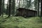 Hunter\'s Cabin in Forest