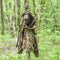 Hunter`s camouflage jacket hanging on the tree in the wood