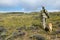 Hunter and tracking dog hiking on wild plain