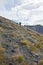 Hunter walking on the hillside in the mountains of Tien Shan