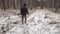 Hunter walks through a snow forest with a gun