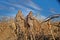 Hunters with handguns preparing for bird hunting