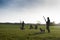 Hunters with hunting dogs walk through field