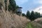 Hunters hut in the forest by the road. Wooden rural watch tower for hunters.