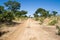 Hunters Road next to Hwange National Park