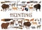 Hunting, animals and rifle guns, safari hunt sport