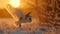 Hunting Barn Owl in Flight at Sunset - AI Generated