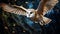 Hunting Barn Owl in flight. Wildlife scene from wild forest. Flying bird tyto alba. Generative Ai