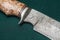 Hunting damascus steel knife handmade on a green fabric