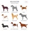 Hunting dog breeds collection isolated on white. Flat style