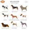 Hunting dog breeds set icon isolated on white . Flat style